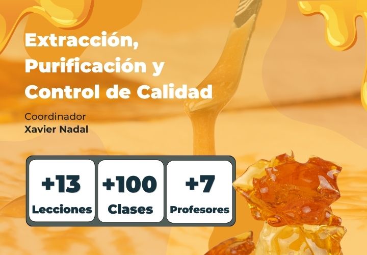 formacion-extracciones-cannabis